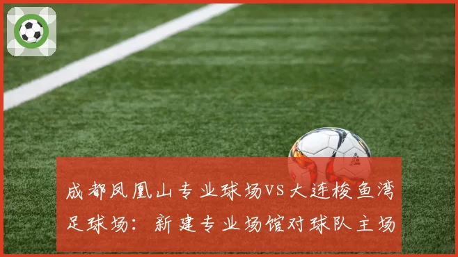 成都凤凰山专业球场vs大连梭鱼湾足球场：新建专业场馆对球队主场战绩加成效用分析